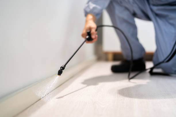 Licensed Pest Control service in Sunnyvale, CA - Show Me Pest Control