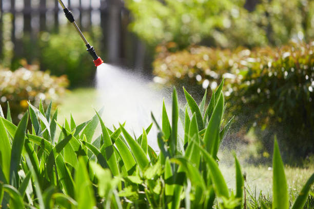 24/7 Emergency Mosquito Control experts in Sunnyvale, CA