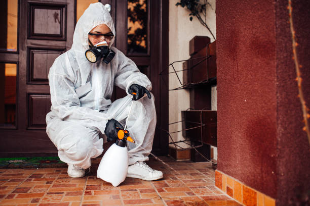Reliable Mosquito Control contractor in Sunnyvale, CA by Show Me Pest Control